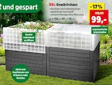 Gewächshaus im Angebot bei Thomas Philipps in Homburg Gewächshaus Angebote von XXL bei Thomas Philipps Homburg für 99,00 €
