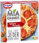 La Mia Grande Salame Piccante oder La Mia Familia Tomate & Paprika Angebote von Dr. Oetker bei REWE Coburg für 3,49 €