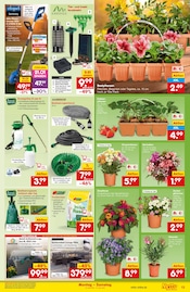 Aktueller Netto Marken-Discount Prospekt mit Rasenmäher, "Aktuelle Angebote", Seite 13