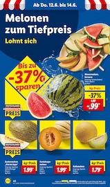 Melone Angebote im Prospekt "LIDL LOHNT SICH" von Lidl auf Seite 60