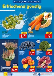 Cola im Netto Marken-Discount Prospekt in Haßloch Aktueller Netto Marken-Discount Prospekt mit Cola, "Aktuelle Angebote", Seite 3