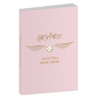 Agenda scolaire HARRY POTTER - WARNER BROS - Carrefour Agenda scolaire HARRY POTTER - WARNER BROS à 1,99 € dans le catalogue Carrefour