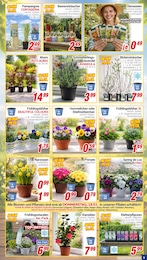 Bohrmaschine Angebot im aktuellen CENTERSHOP Prospekt auf Seite 3