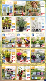 Aktueller CENTERSHOP Prospekt mit Saatgut, "Da geht was.", Seite 3