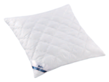 Aktuelle Kopfkissen Angebote bei Matratzen Concord in Stuttgart Aktuelles Kopfkissen Active Duo gesteppt Angebot bei Matratzen Concord in Stuttgart ab 44,90 €