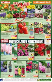Aktueller Norma Prospekt mit Blumenkasten, "Mehr fürs Geld", Seite 16