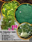 Bio-Feldgemüse/-Salate im Angebot bei Hornbach in Pforzheim Bio-Feldgemüse/-Salate Angebote von Bio bei Hornbach Pforzheim für 1,99 €