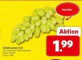 Tafeltrauben hell im Angebot bei Markant Nordwest in Paderborn Tafeltrauben hell Angebote bei Markant Nordwest Paderborn für 1,99 €