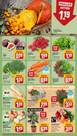 Grünpflanzen Angebote im Prospekt "Dein Markt" von REWE auf Seite 11