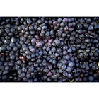 Raisin noir sans pépins CARREFOUR Le Marché - LE MARCHE - Carrefour Raisin noir sans pépins CARREFOUR Le Marché - LE MARCHE à 2,99 € dans le catalogue Carrefour