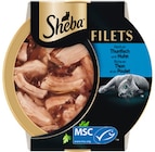 Katze Filet im Angebot bei Rossmann in Bonn Katze Filet Angebote von Sheba bei Rossmann Bonn für 0,99 €