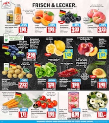 Tomaten im HIT Prospekt "ECHTE VIELFALT" mit 18 Seiten (Münster)