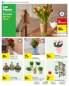 Promo Tulipes dans le catalogue Carrefour du moment à la page 22