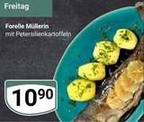 Forelle Müllerin Angebote bei GLOBUS Gera für 10,90 €