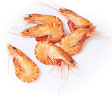 Grosses crevettes roses cuites dans le catalogue Supermarchés Match