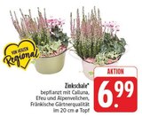 Zinkschale im Angebot bei EDEKA in Altenburg Zinkschale Angebote bei EDEKA Altenburg für 6,99 €