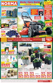 Aktueller Norma Discounter Prospekt in Tacherting und Umgebung, "Mehr fürs Geld" mit 19 Seiten, 11.05.2026 - 16.05.2026