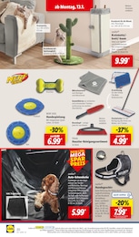 Lidl Hundespielzeug im Prospekt 