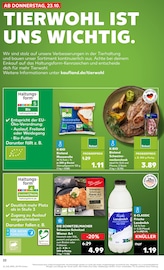Schweineschnitzel im Kaufland Prospekt in Karlsruhe Aktueller Kaufland Prospekt mit Schweineschnitzel, "Aktuelle Angebote", Seite 22