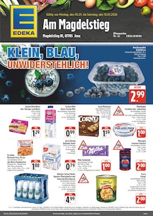 Aktueller EDEKA Prospekt für Jena mit  Seiten