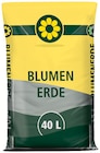 BLUMEN-ERDE im aktuellen Prospekt bei Wreesmann in Söhlde