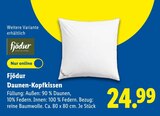 Daunen-Kopfkissen Angebote von Fjödur bei Lidl Bünde für 24,99 €