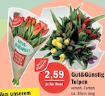 Tulpen von Gut&Günstig im aktuellen aktiv & irma Prospekt