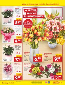 Tulpen im Netto Marken-Discount Prospekt "Aktuelle Angebote" mit 62 Seiten (Offenbach (Main))