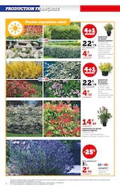 Plantes Angebote im Prospekt "LES PRIX BAS du jardin" von Hyper U auf Seite 2