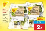 Aktuelles Mini-Romana Salat Angebot bei Netto Marken-Discount in Dresden ab 2,00 €