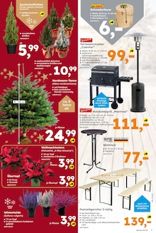 Weihnachtsbaum Angebot im aktuellen Globus-Baumarkt Prospekt auf Seite 7