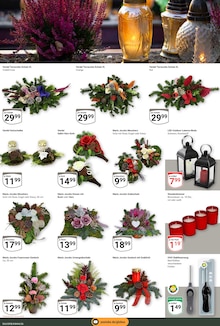 Blumen im aktuellen GLOBUS Prospekt (Oberhausen) Blumen im GLOBUS Prospekt "Aktuelle Angebote" mit 27 Seiten (Oberhausen)