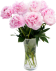 BOUQUET DE 10 PIVOINES - SANS MARQUE en promo chez Auchan Supermarché BOUQUET DE 10 PIVOINES - SANS MARQUE dans le catalogue Auchan Supermarché
