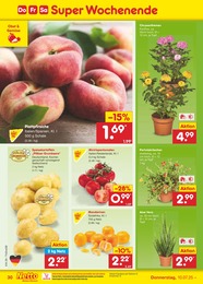 Netto Marken-Discount Blumen im Prospekt 