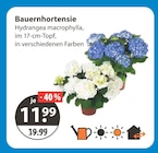 V-Markt Mainburg Prospekt mit  im Angebot für 11,99 €