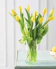 Bouquet de 9 tulipes de glace - U - U Express à Nice Bouquet de 9 tulipes de glace - U en promo chez U Express Nice à 5,99 €
