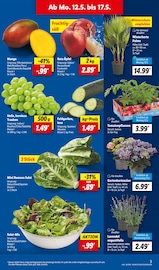 Salat im Lidl Prospekt in Hildesheim Aktueller Lidl Prospekt mit Salat, "LIDL LOHNT SICH", Seite 3
