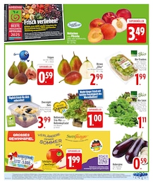 Rucola im EDEKA Prospekt Rucola im EDEKA Prospekt "APPsolut fantastisch!" auf Seite 4