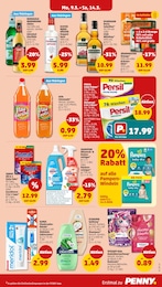 Persil Megaperls Angebot im aktuellen Penny Prospekt auf Seite 21