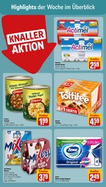 Ähnliche Brauerei Bosch Angebote im Prospekt "Dein Markt" von REWE Ähnliches Angebot bei REWE in Prospekt "Dein Markt" gefunden auf Seite 2