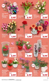 Aktueller Kaufland Prospekt mit Blumentopf, "UNSERE MEGA ANGEBOTE", Seite 3