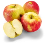 Äpfel Angebote bei Netto Marken-Discount Duisburg für 1,99 €