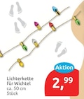Lichterkette für Wichtel für 2,99 € bei budni im Angebot Lichterkette für Wichtel im aktuellen budni Prospekt