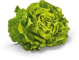 Kopfsalat von HEIMAT im aktuellen Netto Marken-Discount Prospekt für 1,11 €