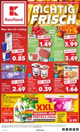 Kaufland Supermarkt Prospekt der aktuellen Woche mit 59 Seiten, gültig von 22.01.2026 bis 28.01.2026, in Weyhausen und Umgebung Aktueller Kaufland Supermarkt Prospekt in Weyhausen und Umgebung, "Aktuelle Angebote" mit 59 Seiten, 22.01.2026 - 28.01.2026
