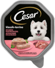 Hundenahrung Angebote von Cesar bei budni Buchholz für 0,79 €