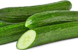 Penny Bensheim - Bio-Gurke Angebot im Prospekt Bio-Gurke bei Penny im Bensheim Prospekt für 0,99 €