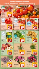 Garten im REWE Prospekt in Bamberg Aktueller REWE Prospekt mit Garten, "Dein Markt", Seite 7