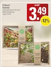 WEZ Rodenberg - Salate Angebot im Prospekt Salate bei WEZ im Rodenberg Prospekt für 3,49 €