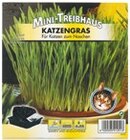 Minitreibhaus von Mini-Treibhaus im aktuellen Netto mit dem Scottie Prospekt für 2,19 €